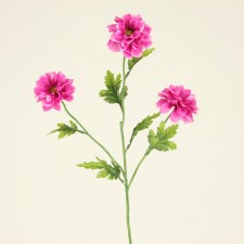 25" DAHLIA SPRAY X3