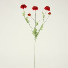 27" POM-PON SPRAY RED