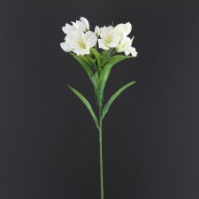 25"ALSTROMERIA SPRAY CREAM