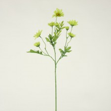 26" DAISY SPRAY GREEN