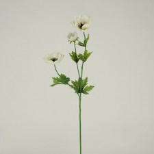 24" POPPY SPRAY CREAM
