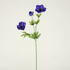 24" POPPY SPRAY HEAV.BLUE