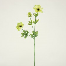 24" POPPY SPRAY LT.GREEN