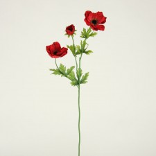 24" POPPY SPRAY RED