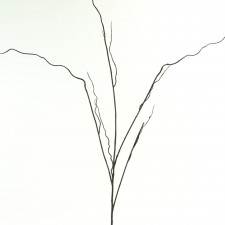 TWIG CURLY GREEN/BROWN