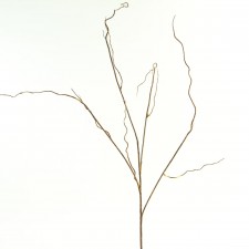 TWIG CURLY GOLD/BROWN