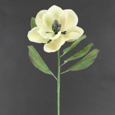30" MAGNOLIA