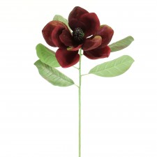 30" MAGNOLIA