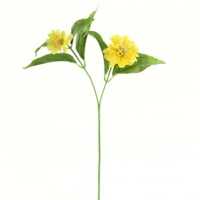 17.5"PETITE ZINNIA SPRY B15