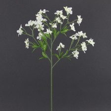 26.5" ROCK CRESS CREAM