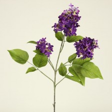 27" LILAC PURPLE