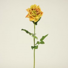 28"TEA ROSE HYBRID GOLD