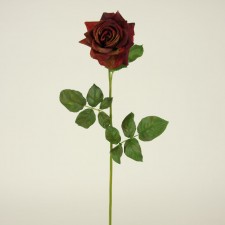 28"TEA ROSE HYBRID VINT.BURGUN