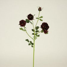 25"FLORIBUNDA ROSE VINT.BURGUN