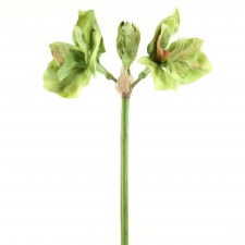 30" AMARYLLIS MAUVE/GREEN