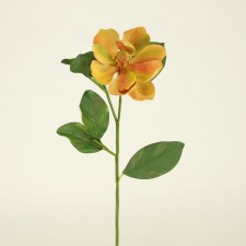 24" MAGNOLIA GOLD