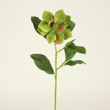 24" MAGNOLIA MAUVE/GREEN