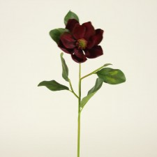 24" MAGNOLIA VINEYARD BURG