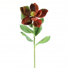 30" MAGNOLIA VILLA RUST