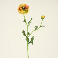 31.5"RANUNCULUS GOLD