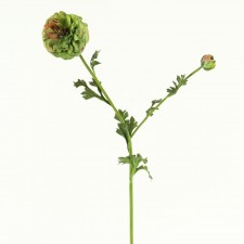 31.5" RANUNCULUS MAUVE/GRN