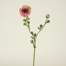 31.5"RANUNCULUS ROSE MARBLE