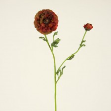 31.5"RANUNCULUS VILLA RUST
