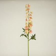 38.5"DELPHINIUM PCH/GELATO