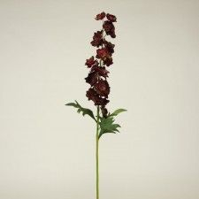 38.5"DELPHINIUM VINEYARD BURG