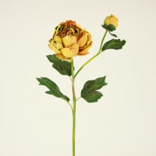 29" PEONY GOLD