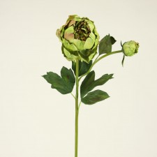 29" PEONY MAUVE/GREEN