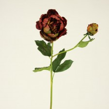 29" PEONY VILLA RUST