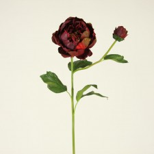 29" PEONY VINEYARD BURG