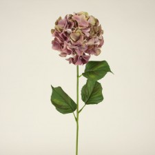 31.5" HYDRANGEA LAVENDER
