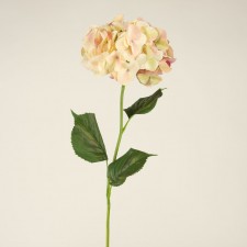 31.5" HYDRANGEA PEACH/GELATO