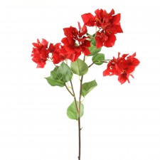 34.5"BOUGAINVILLAEA RED