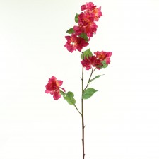43"BOUGAINVILLAEA AMER.BEAUTY