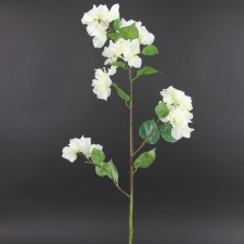 43" BOUGAINVILLAEA WHITE