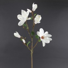 43" MAGNOLIA TREE BRANCH