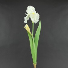 26.5" BEADED IRIS WHITE