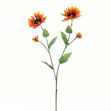 26" SUNFLOWER X2 B12