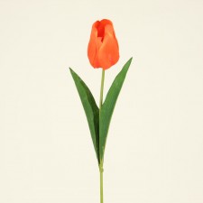 DUTCH TULIP ORANGE/RED
