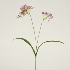 23" FREESIA LAVENDER