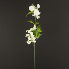 26" DOGWOOD WHITE