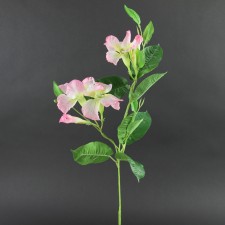 24"MANDEVILA SPRAY A25 B14