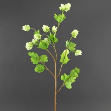 37.5" HOPS M. GREEN