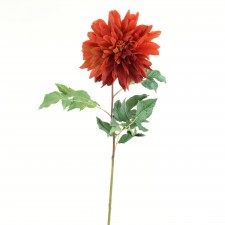 46" DAHLIA RUST
