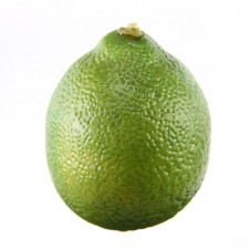 3.1" LIME GREEN
