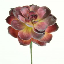 9" SUCCULENT BURGUNDY