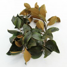 5' MAGNOLIA LEAF GARLAND GRN